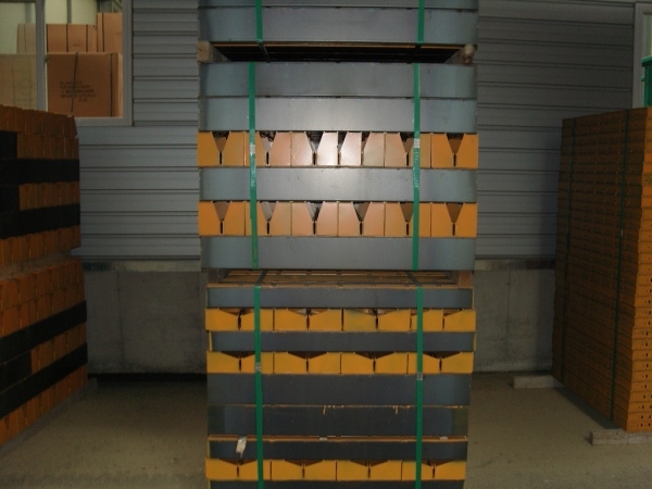 SNV11359.jpg